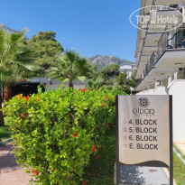 фото из отзыва ID 2733402