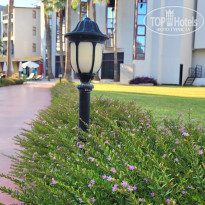 фото из отзыва ID 2733402