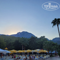 фото из отзыва ID 2733402