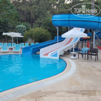 фото из отзыва ID 2733402