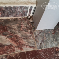 фото из отзыва ID 2733405