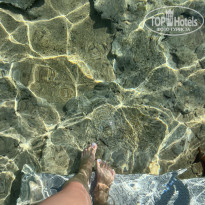 фото из отзыва ID 2733410