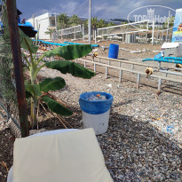 фото из отзыва ID 2733408