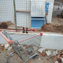 фото из отзыва ID 2733408