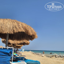 фото из отзыва ID 2733418