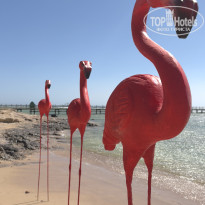 фото из отзыва ID 2733419