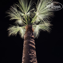 фото из отзыва ID 2733419