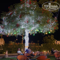 фото из отзыва ID 2733419