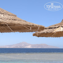 фото из отзыва ID 2733419