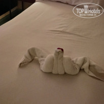 фото из отзыва ID 2733422