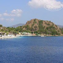 фото из отзыва ID 2733435