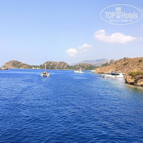 фото из отзыва ID 2733435