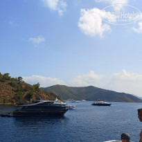 фото из отзыва ID 2733435