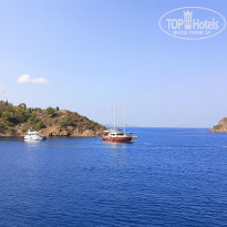 фото из отзыва ID 2733435