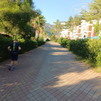 фото из отзыва ID 2733435