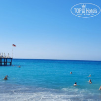 фото из отзыва ID 2733441