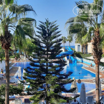 фото из отзыва ID 2733441