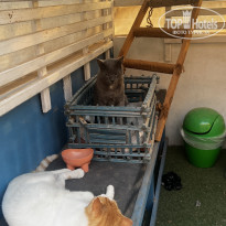 фото из отзыва ID 2733444