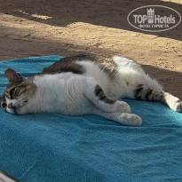 фото из отзыва ID 2733444