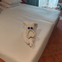 фото из отзыва ID 2733452