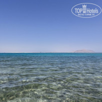 фото из отзыва ID 2733452