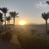 фото из отзыва ID 2733452