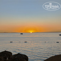 фото из отзыва ID 2733461