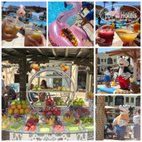 фото из отзыва ID 2733473