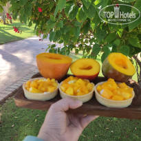 фото из отзыва ID 2733480