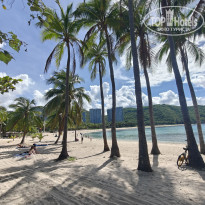 фото из отзыва ID 2733478