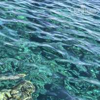 фото из отзыва ID 2733492