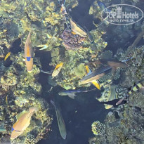 фото из отзыва ID 2733492