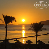 фото из отзыва ID 2733492