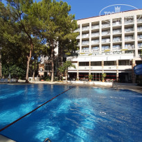 фото из отзыва ID 2733503