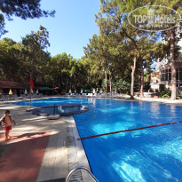 фото из отзыва ID 2733503