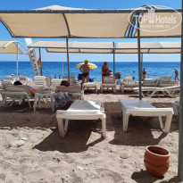 фото из отзыва ID 2733503