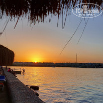 фото из отзыва ID 2733499