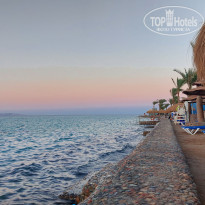 фото из отзыва ID 2733499