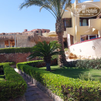 фото из отзыва ID 2733499