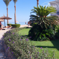 фото из отзыва ID 2733499