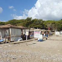 фото из отзыва ID 2733495