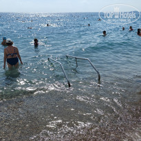 фото из отзыва ID 2733495