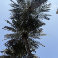 фото из отзыва ID 2733521