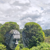 фото из отзыва ID 2733528