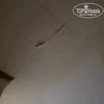 фото из отзыва ID 2733520