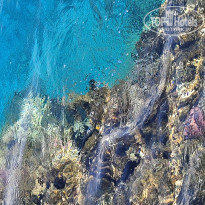 фото из отзыва ID 2733501