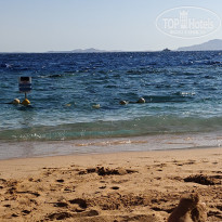 фото из отзыва ID 2733501