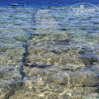 фото из отзыва ID 2733501