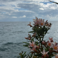 фото из отзыва ID 2733541