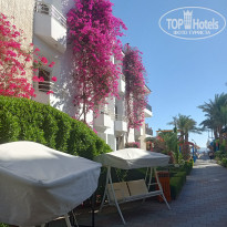 фото из отзыва ID 2733544